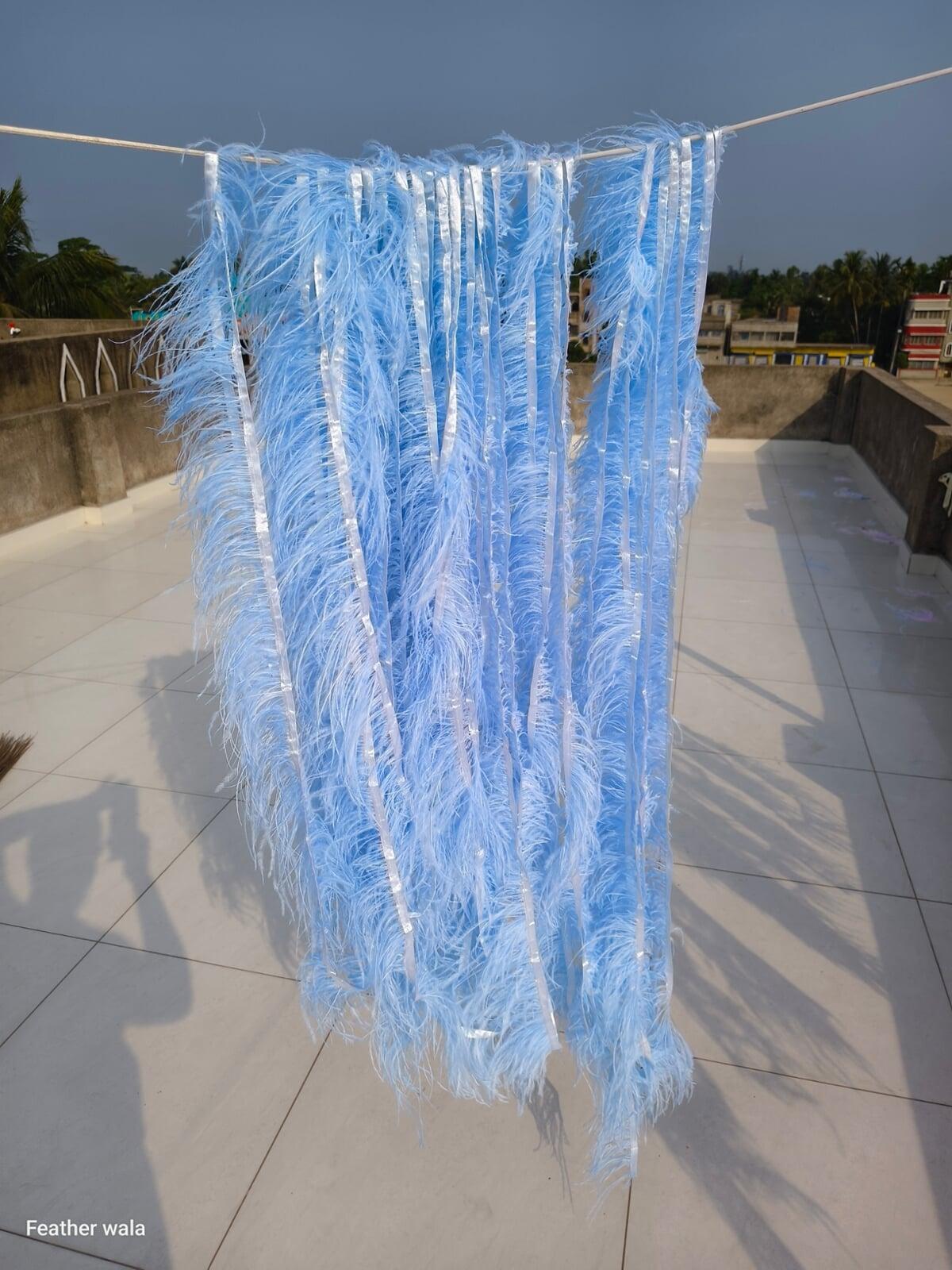 Ostrich feather trim